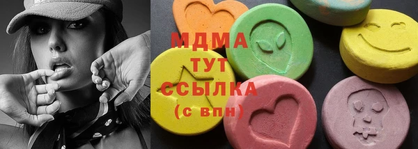 шишки Няндома