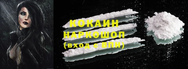 шишки Няндома