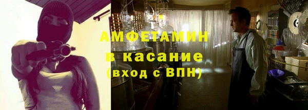шишки Няндома