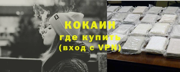 шишки Няндома