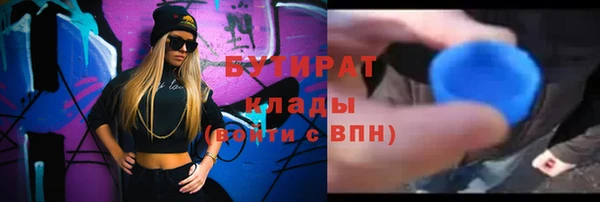 шишки Няндома