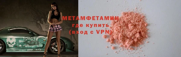 шишки Няндома