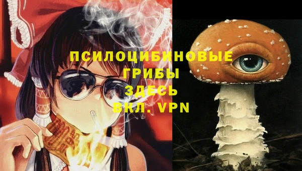 ГАЛЛЮЦИНОГЕННЫЕ ГРИБЫ Нязепетровск