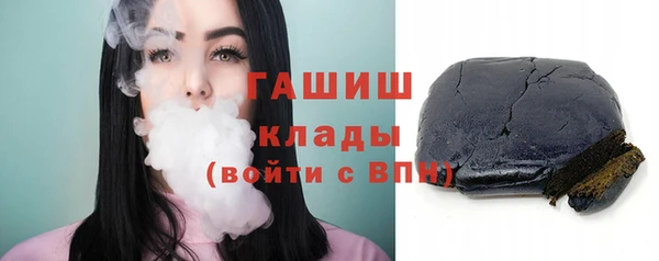 шишки Няндома
