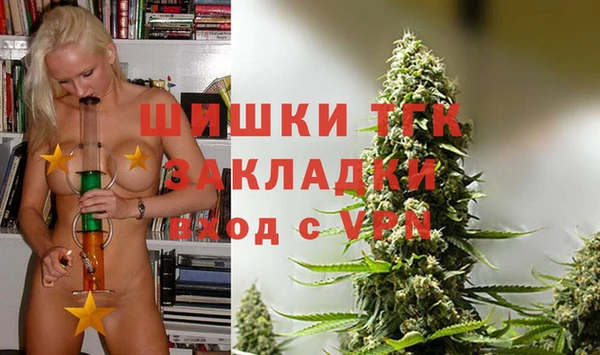 шишки Няндома