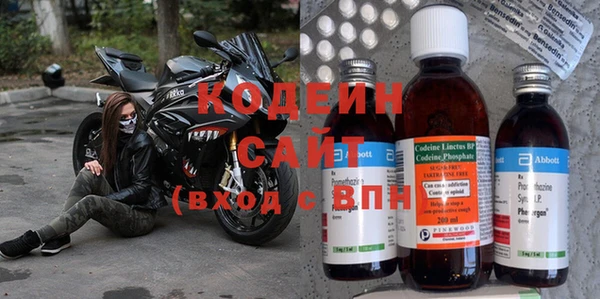 шишки Няндома