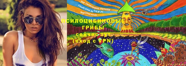 ГАЛЛЮЦИНОГЕННЫЕ ГРИБЫ Нязепетровск