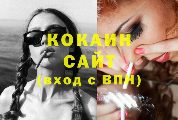 шишки Няндома