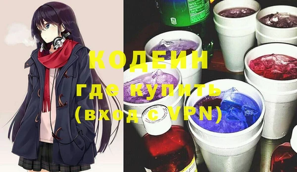 шишки Няндома