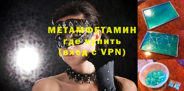 шишки Няндома