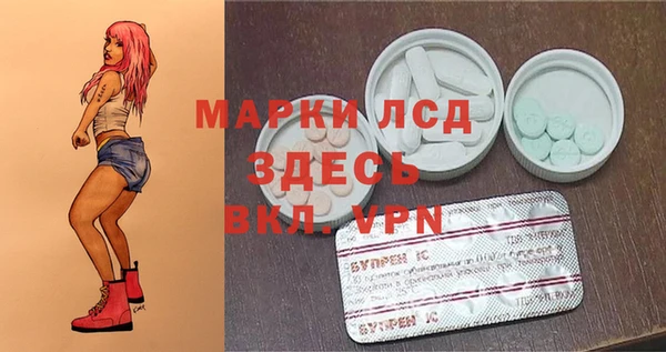 шишки Няндома