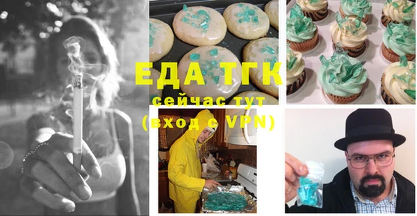 шишки Няндома