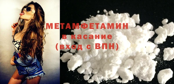 шишки Няндома