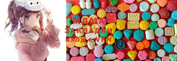 шишки Няндома