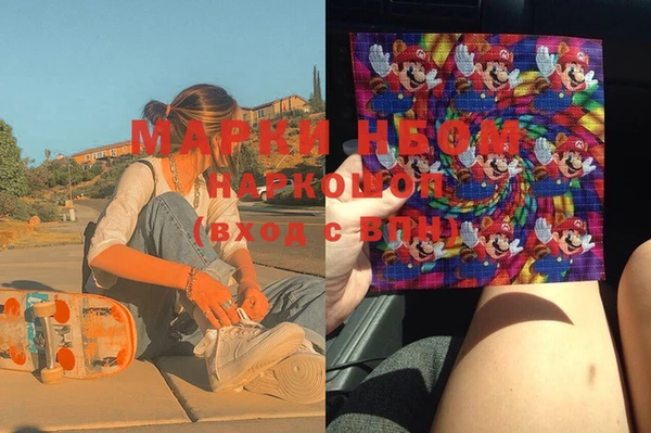 шишки Няндома