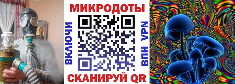 цены наркотик  гидра онион  Галлюциногенные грибы MAGIC MUSHROOMS  Кисловодск 
